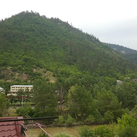 Karlsson Borjomi Apartment. Esterno foto
